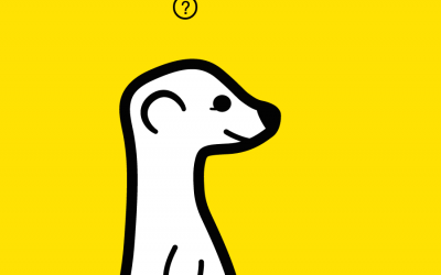 What is Meerkat?